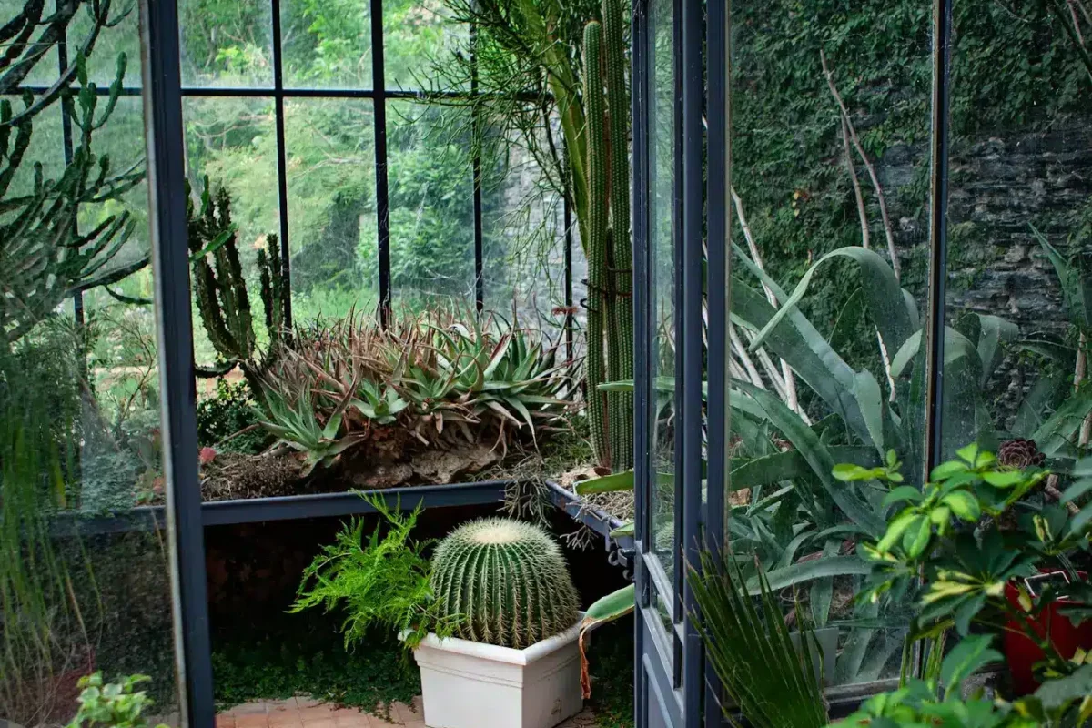 Stylish glass roof in a stylish garden